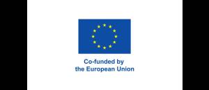 1-financeur-co-funded-european-union_original